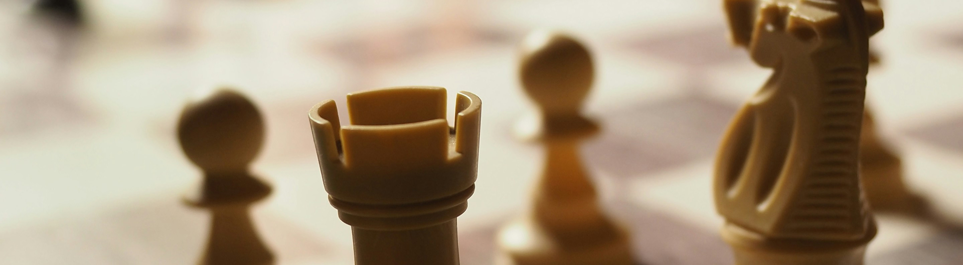 Master Executive in Strategic Leadership and Management
